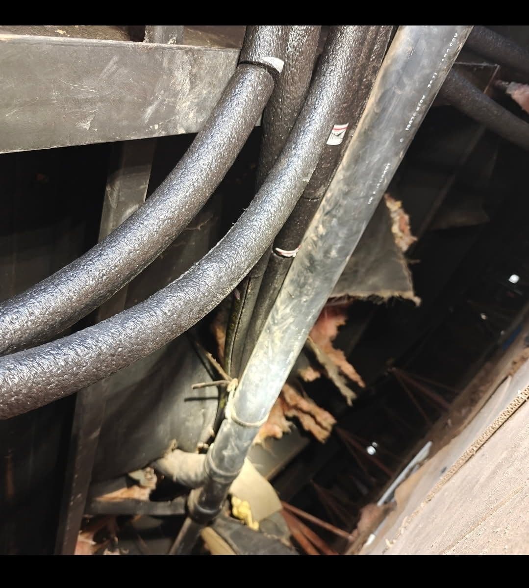 Project Rapid Whole House Water Re-Pipe Success image