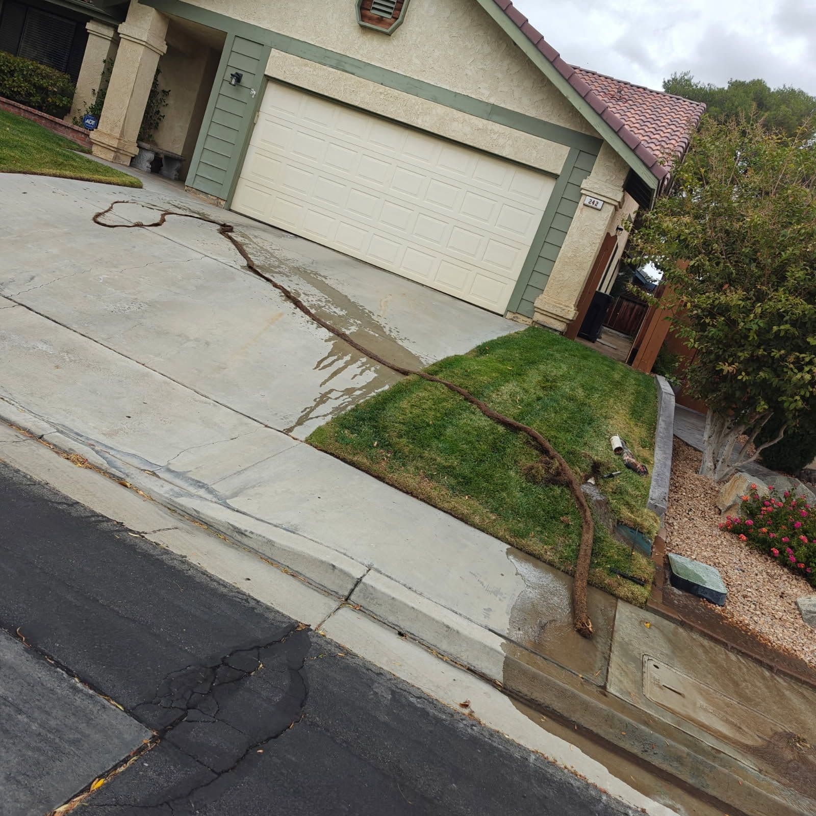 Project Removing Root Blockages for Smooth Flow image