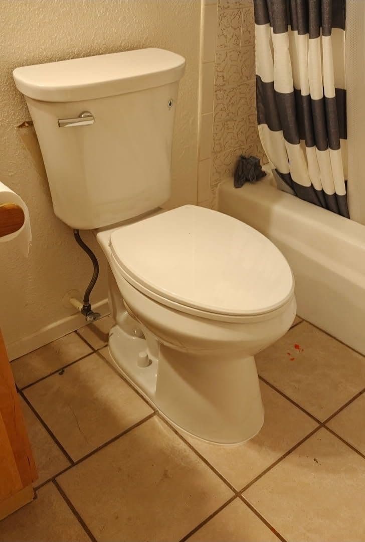 Project Toilet Replacement Made Easy image
