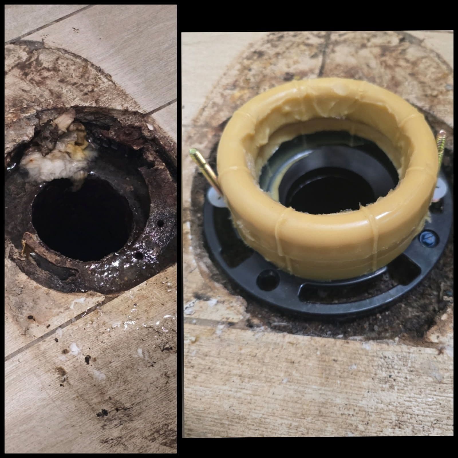 Toilet Flange Replacement Mastery image