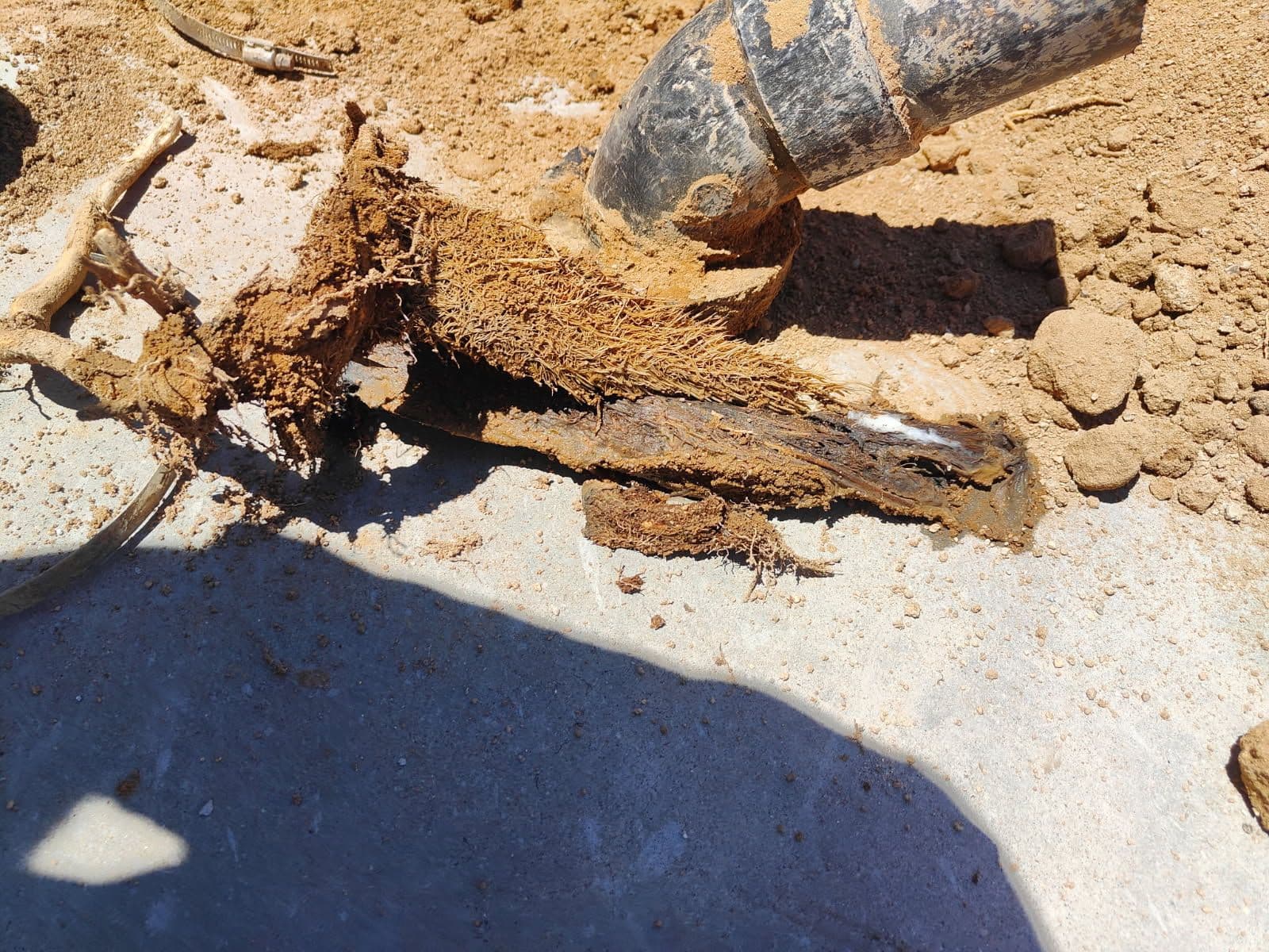 Root Intrusion Sewer Repair by Pro Construction image