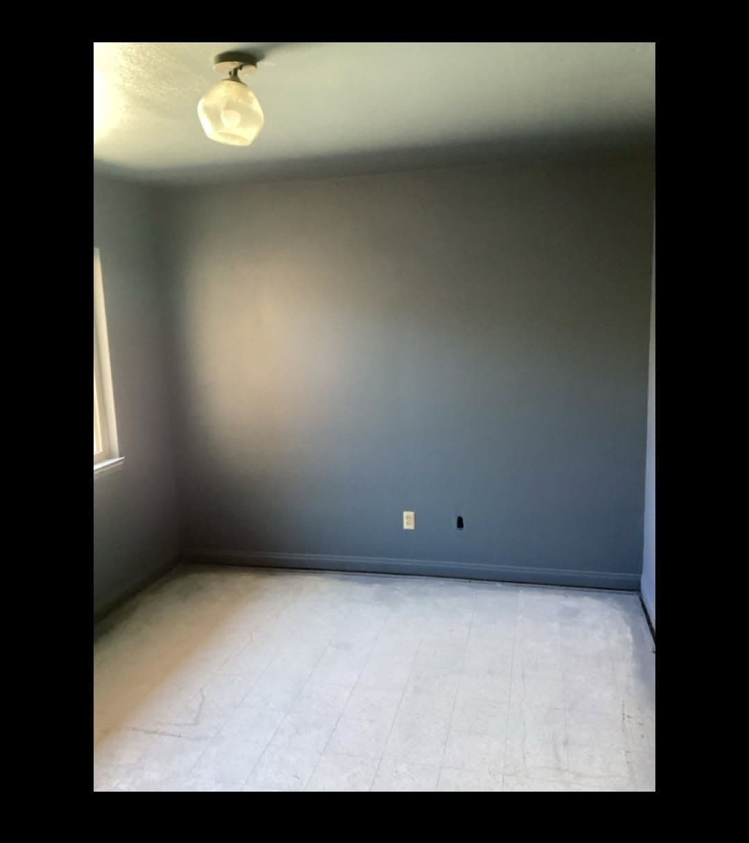 Transformative Paint and Flooring Revamp image