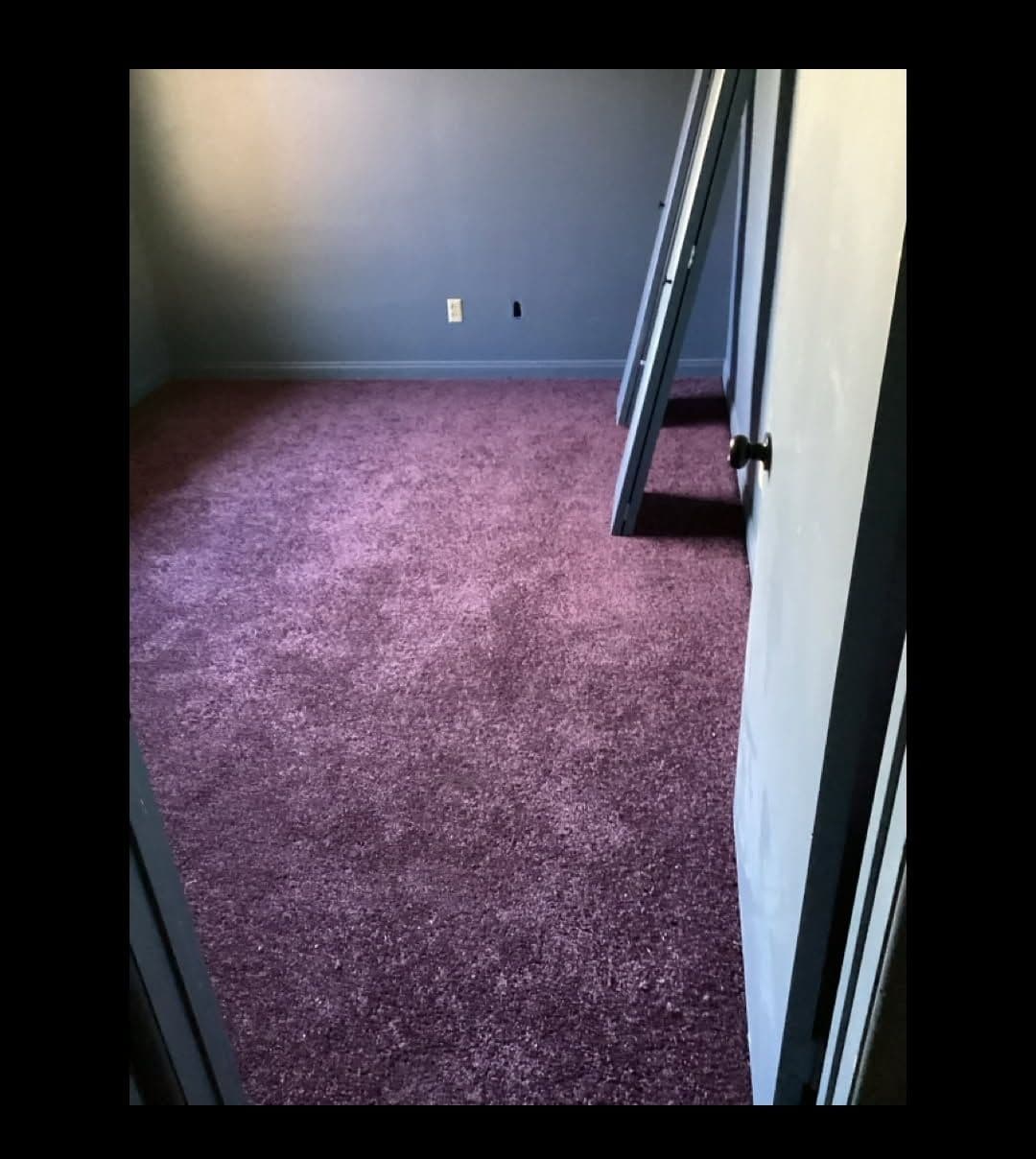 Vibrant Room Revamp with Purple Carpet image